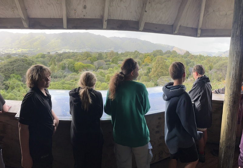 View From Tower