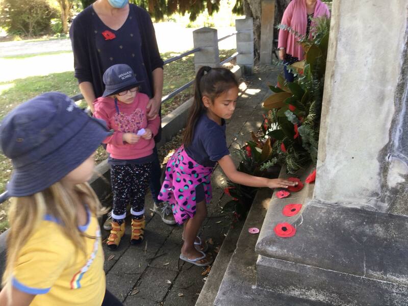 Anzac Poppies