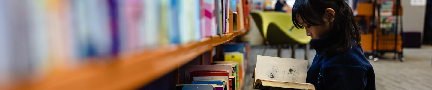 Term Dates 2024 Elm Park School Term Dates 2024 Elm Park School