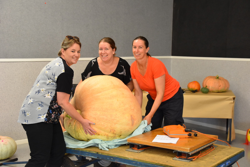 Harvest Festival 067