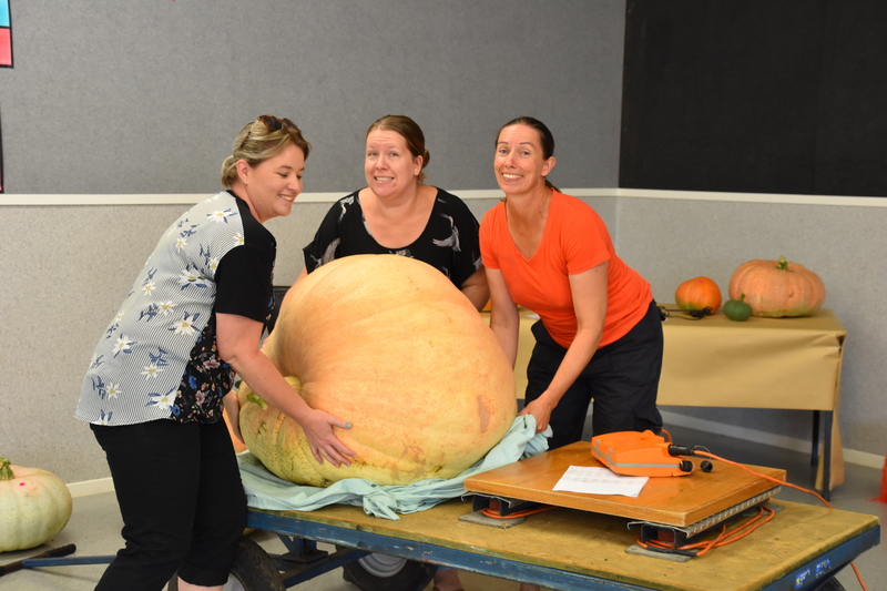 Harvest Festival 066