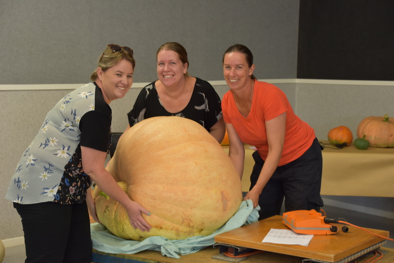 Harvest Festival 069