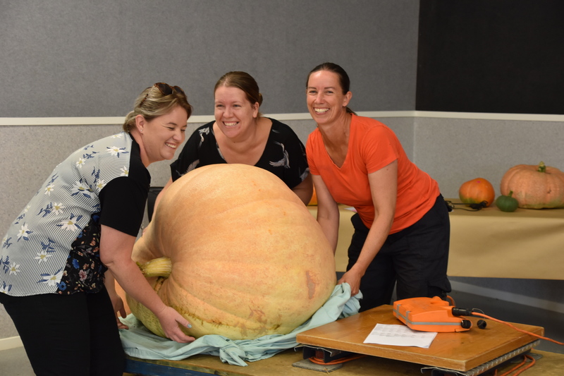 Harvest Festival 068