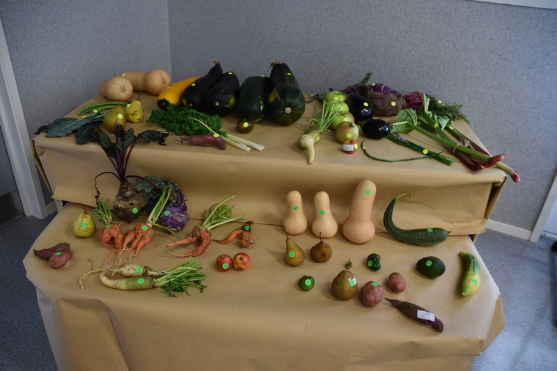 Harvest Festival 070