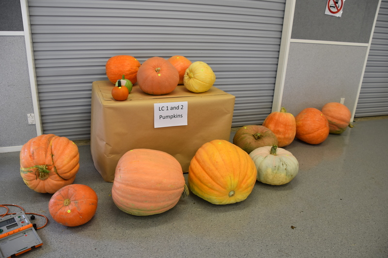 Harvest Festival 080