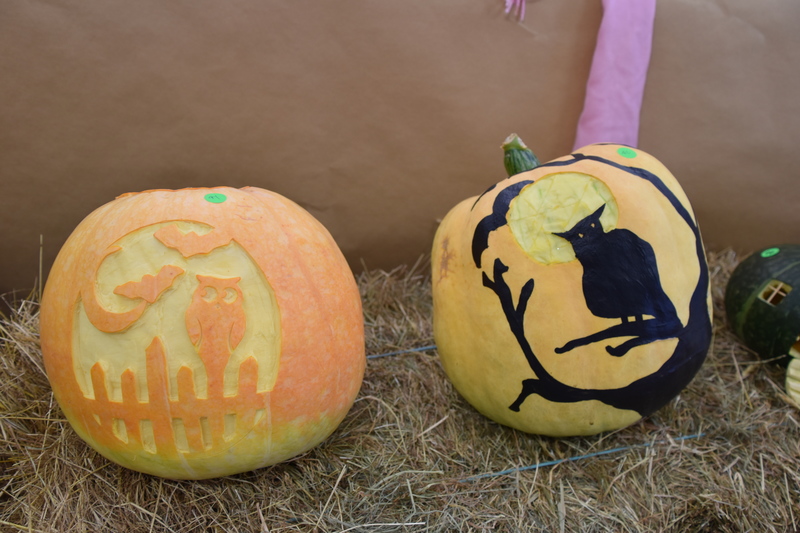 Harvest Festival 084