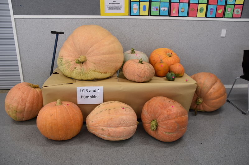 Harvest Festival 087