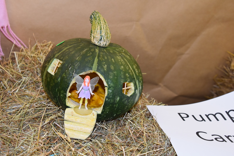 Harvest Festival 097