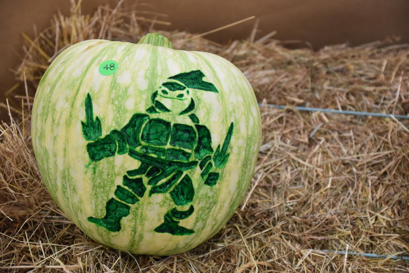 Harvest Festival 098