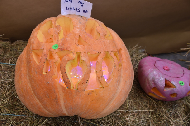 Harvest Festival 099