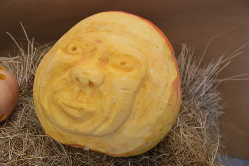 Harvest Festival 101