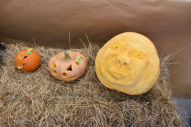 Harvest Festival 102