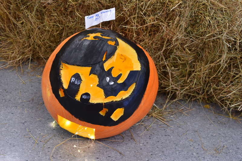 Harvest Festival 105