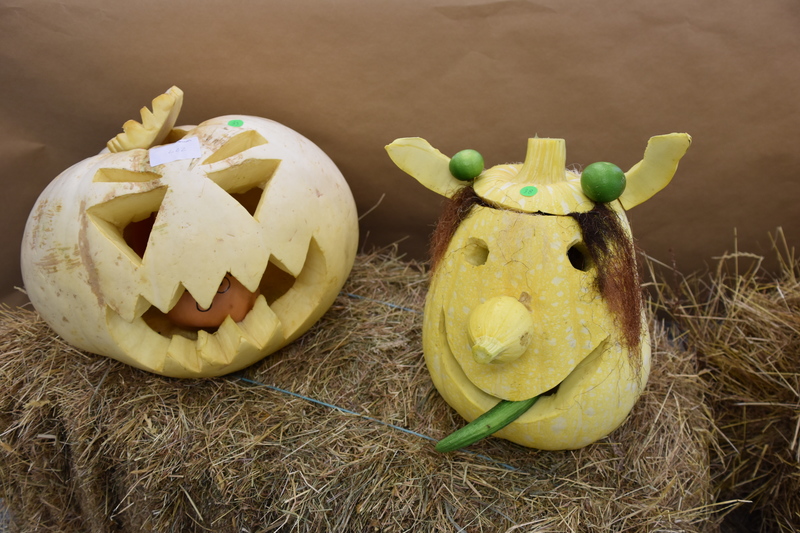 Harvest Festival 120