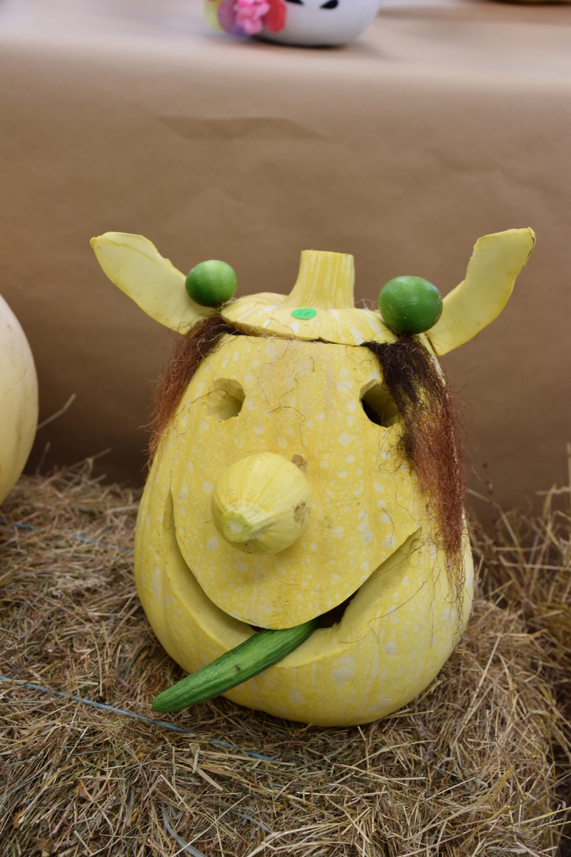 Harvest Festival 121