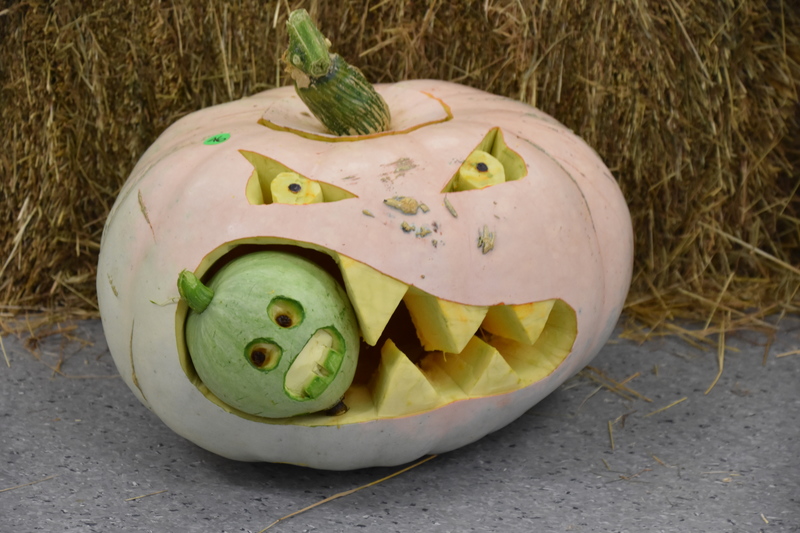 Harvest Festival 146