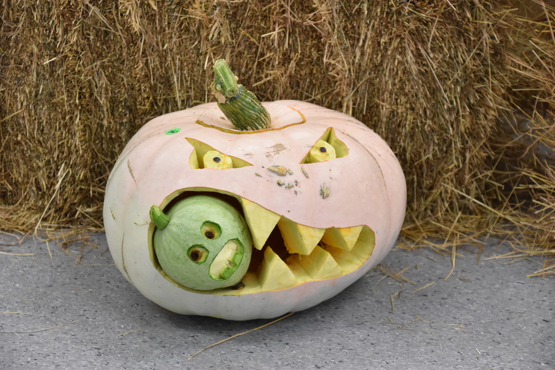 Harvest Festival 147