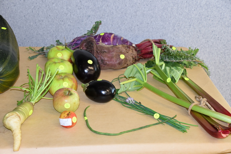 Harvest Festival 155