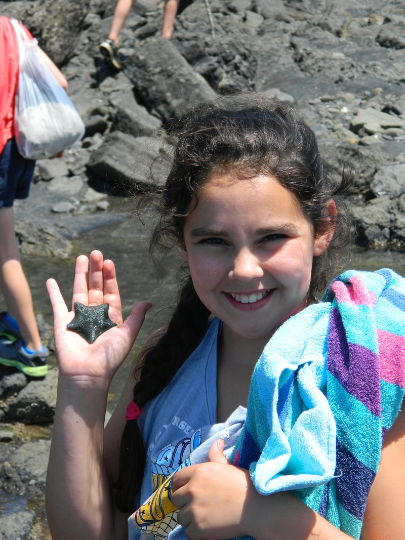 Grace finds a starfish at Kiritehere