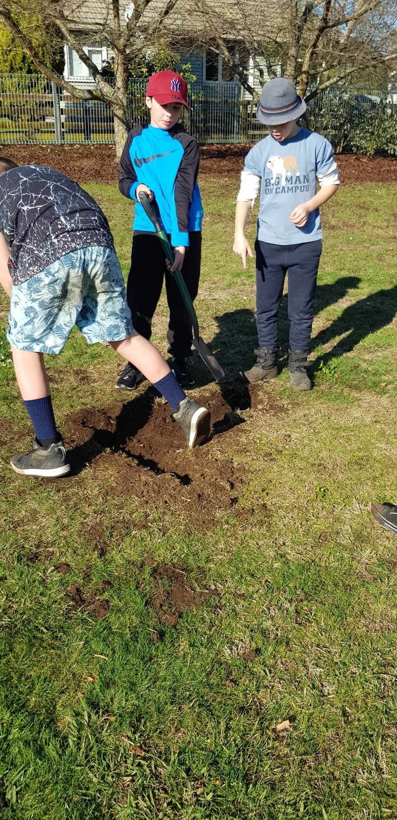 Hangi Hole Digging 7
