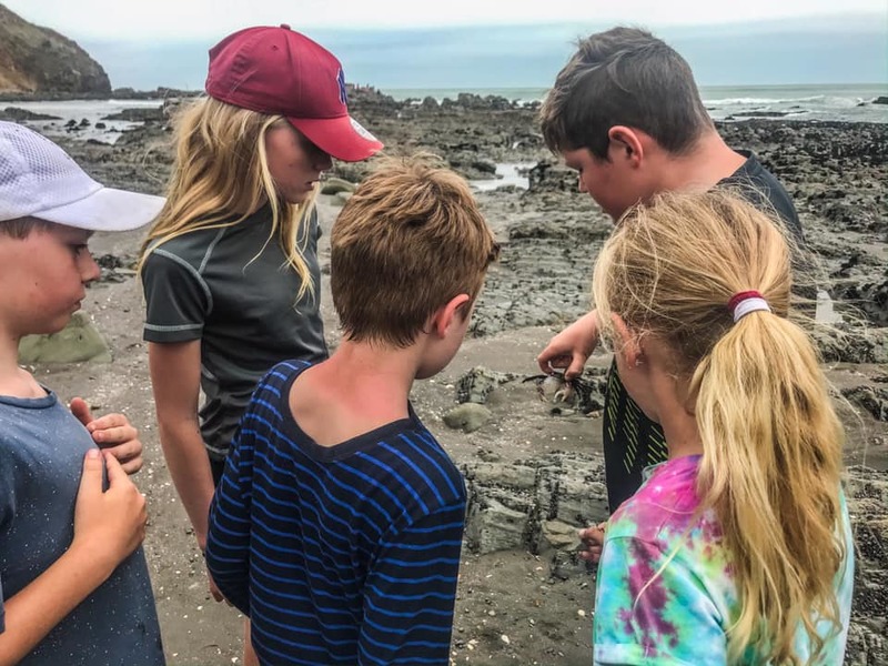 Port Waikato Camp 2019ax
