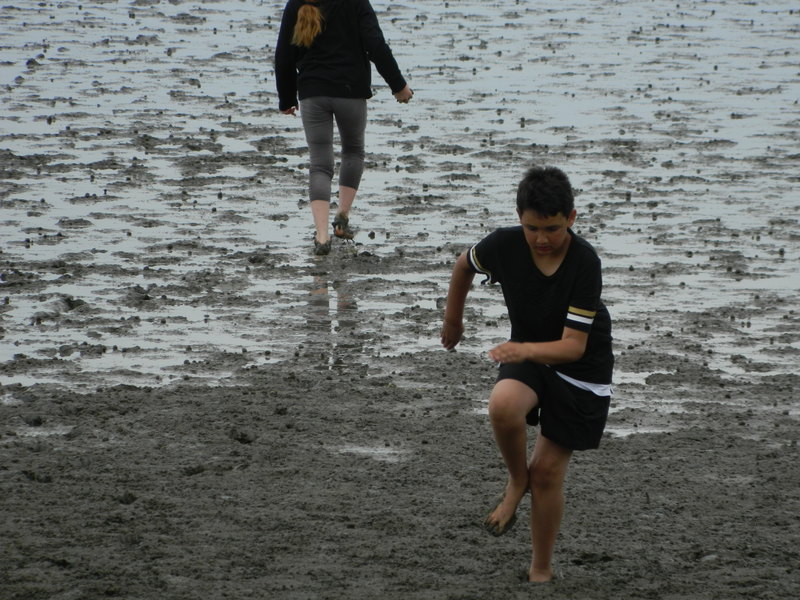 Port Waikato Camp 2019ds