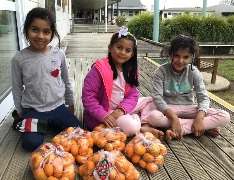 Fruit Picking