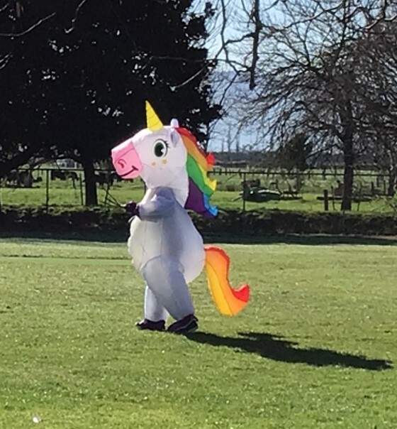 Unicorn