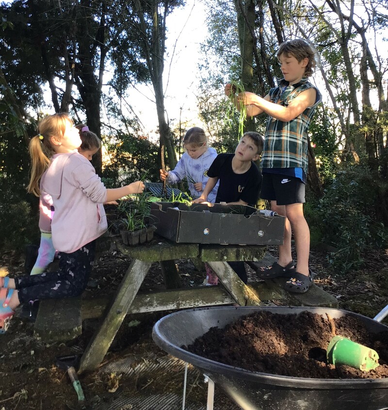 Chiildren In Native Bush Gardening