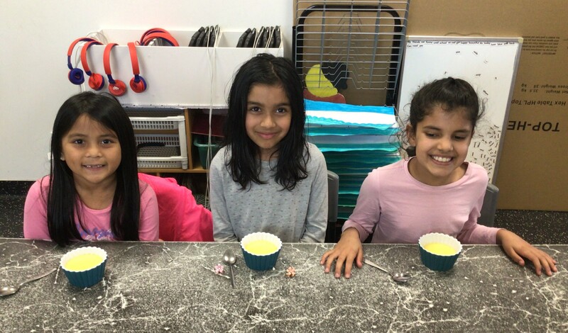 Instant Pudding Finished Product