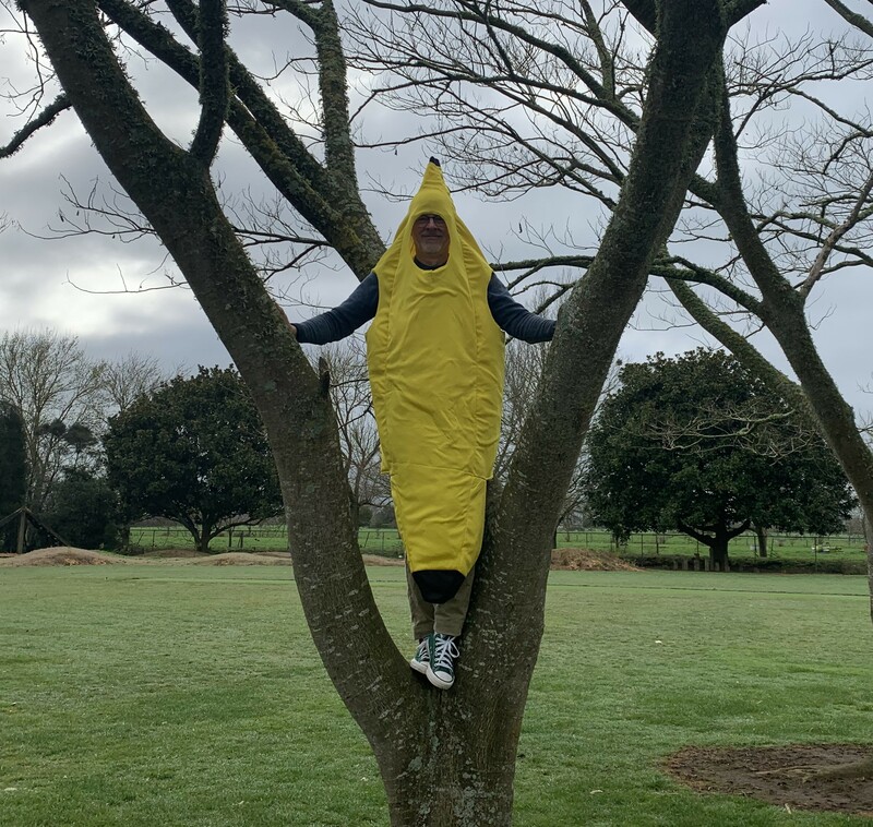 Brendon Up A Tree