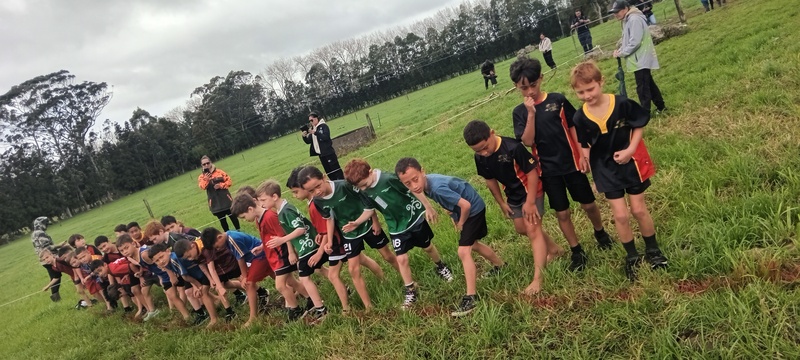 (28.08.2024) Kaikohe   Districts Primary Schools Cross Country  (6)