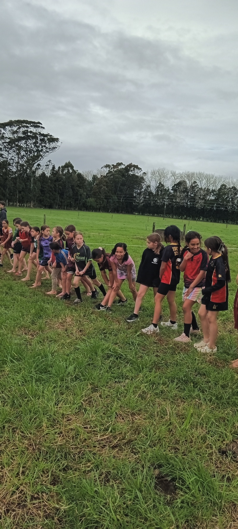 (28.08.2024) Kaikohe   Districts Primary Schools Cross Country  (8)