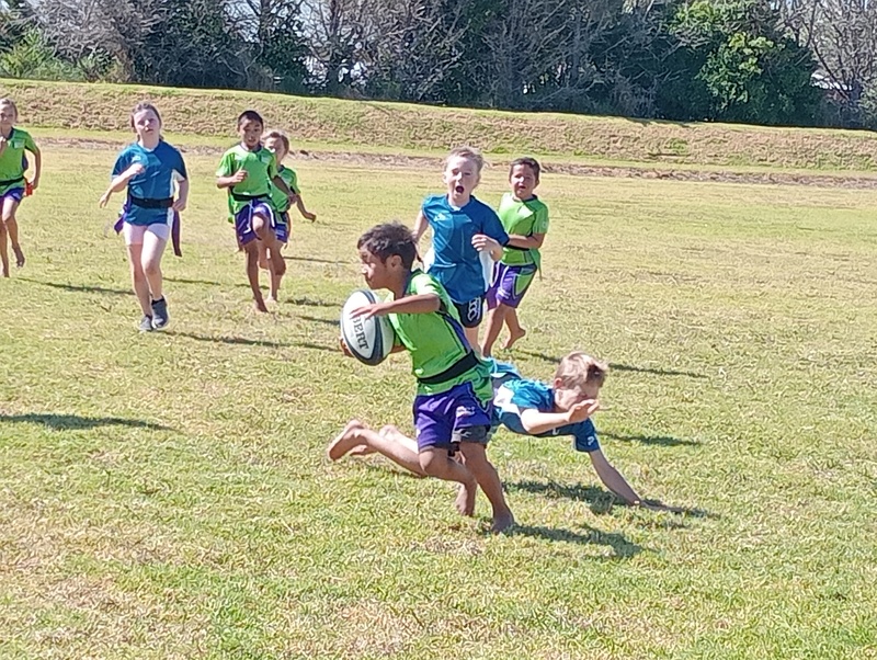 (26.03.2025) Mid North Rippa Rugby Festival (Year3 4) At Kerikeri Rugby Club (5)