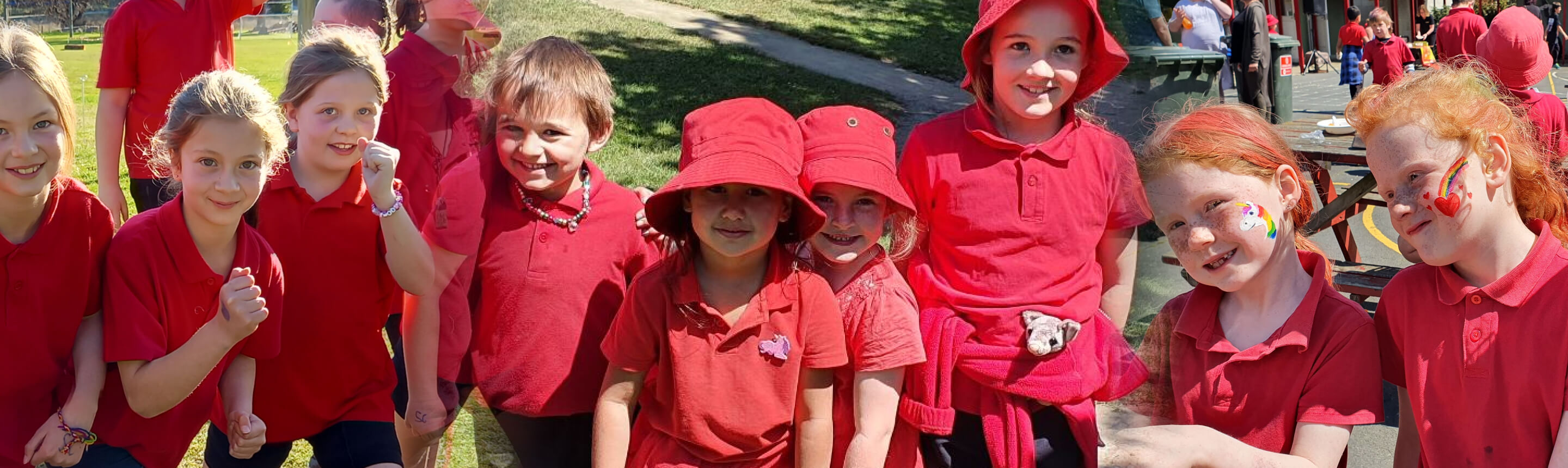 Term Dates 2023 Palmerston Primary School Term Dates 2023 Palmerston Primary School