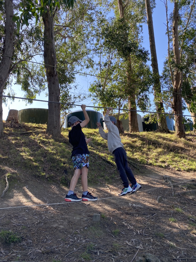 Img 4869