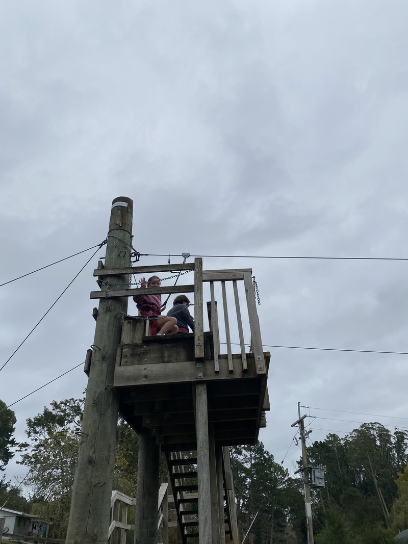 Img 4967