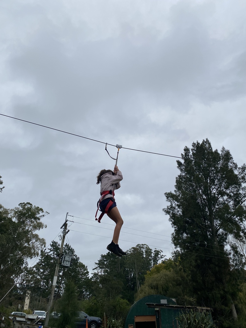 Img 4969