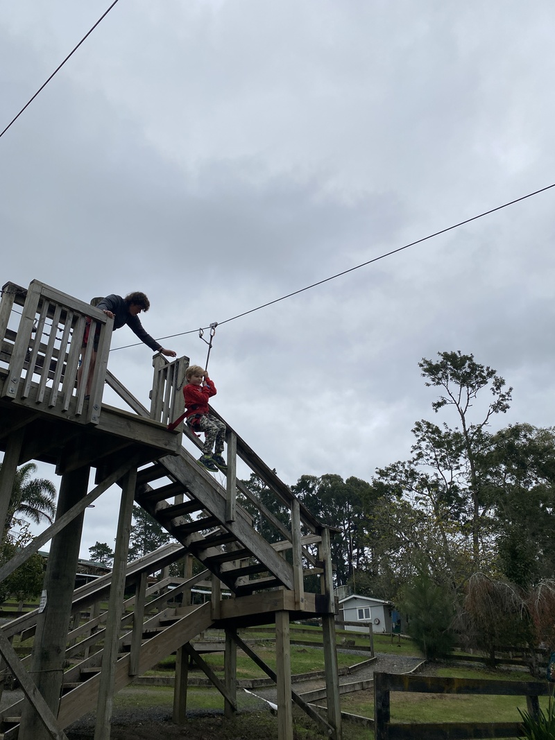 Img 4973