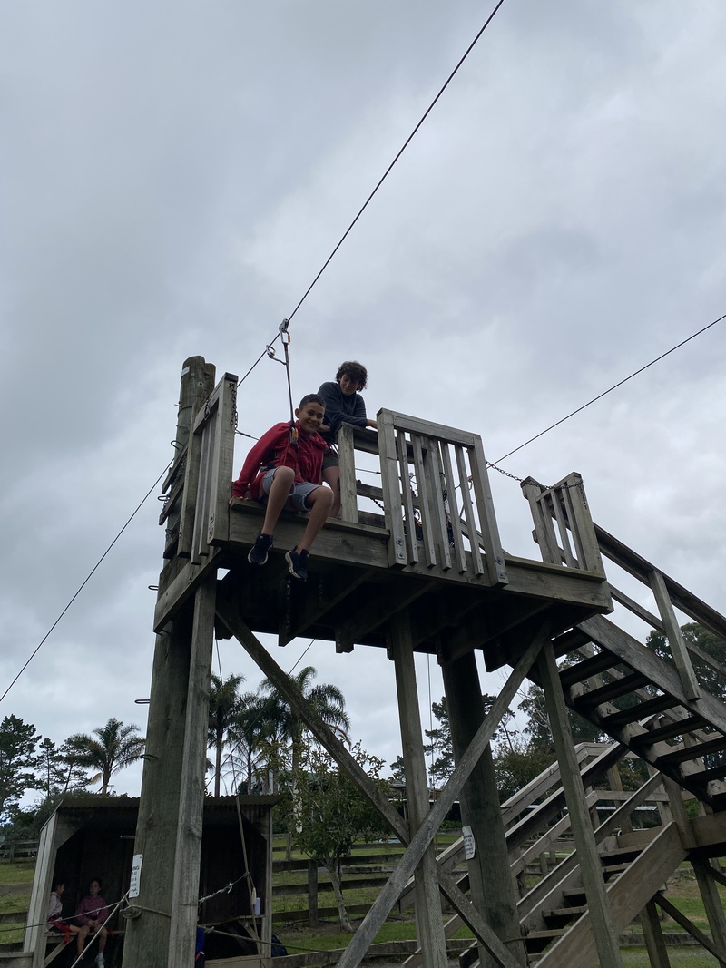 Img 4974