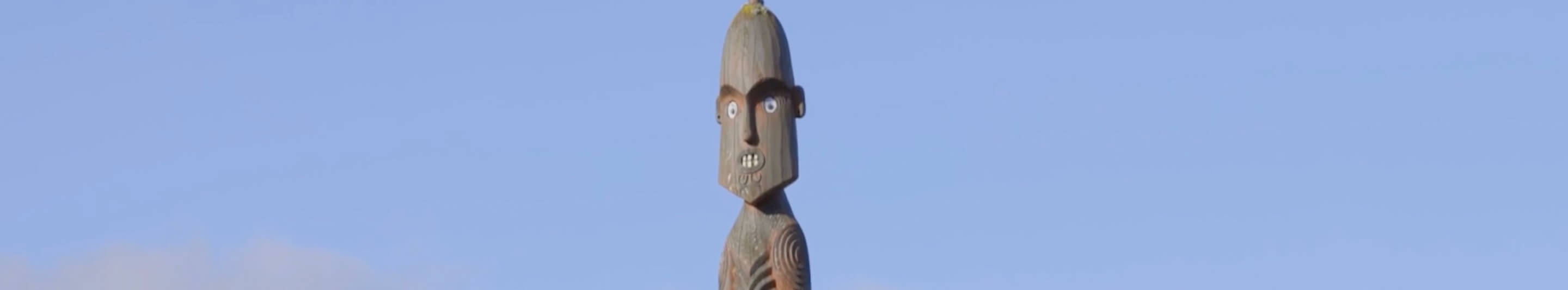 Pouwhenua