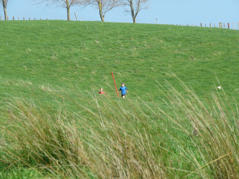Img 7062