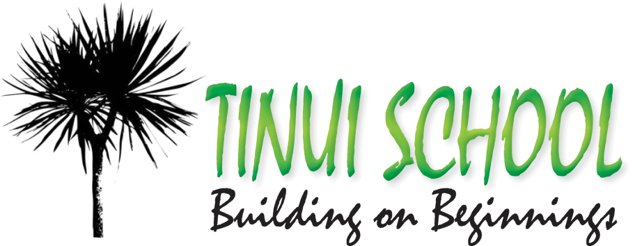 Tinui School